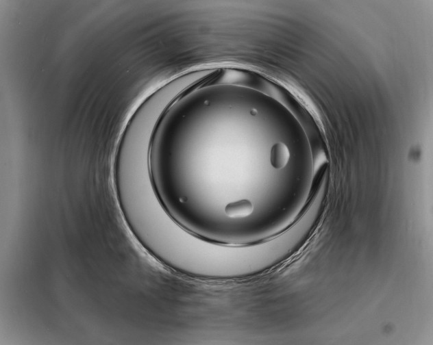 X0000098200813200805011145
