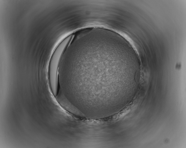 X0000098200815200805011145
