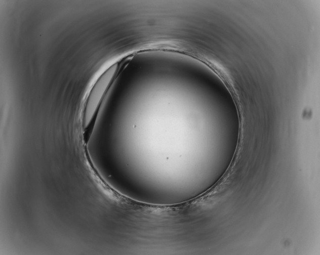 X0000098200816200805011145