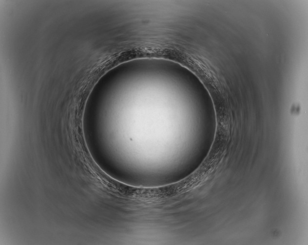 X0000098200817200805011144