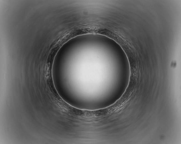 X0000098200818200805011144