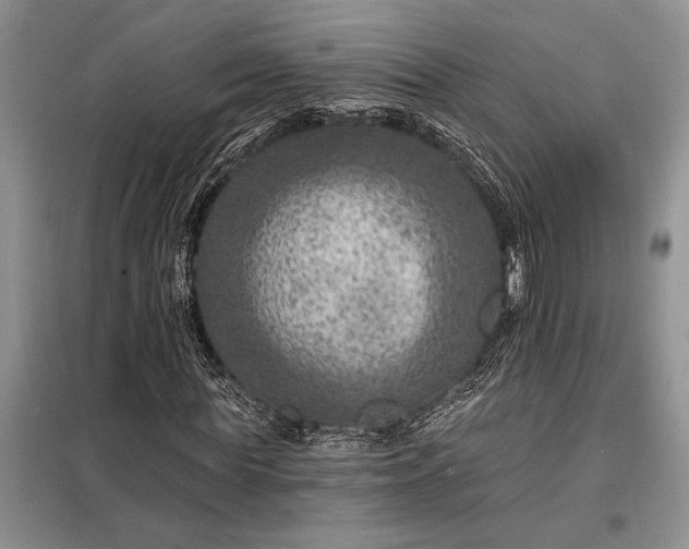 X0000098200819200805011144