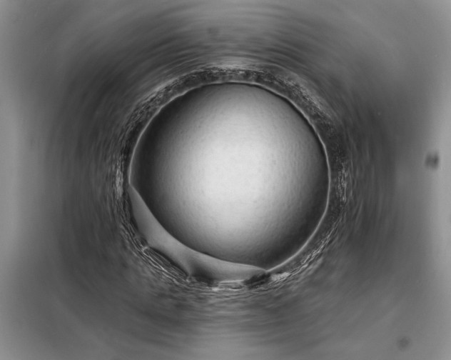 X0000098200821200805011144