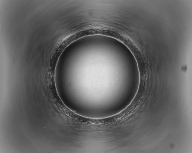 X0000098200822200805011144
