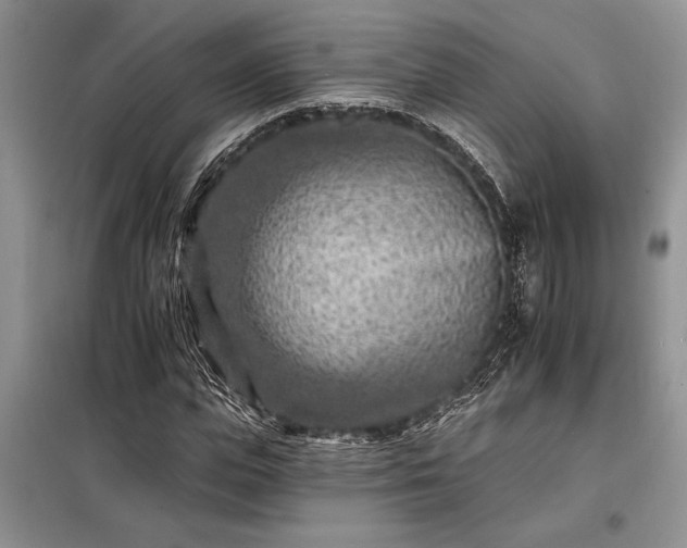 X0000098200823200805011144