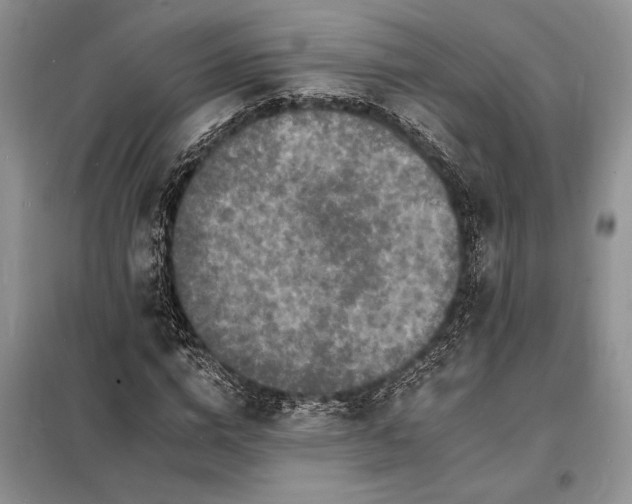 X0000098200824200805011144