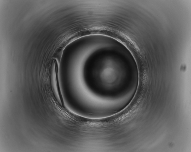 X0000098200825200805011144