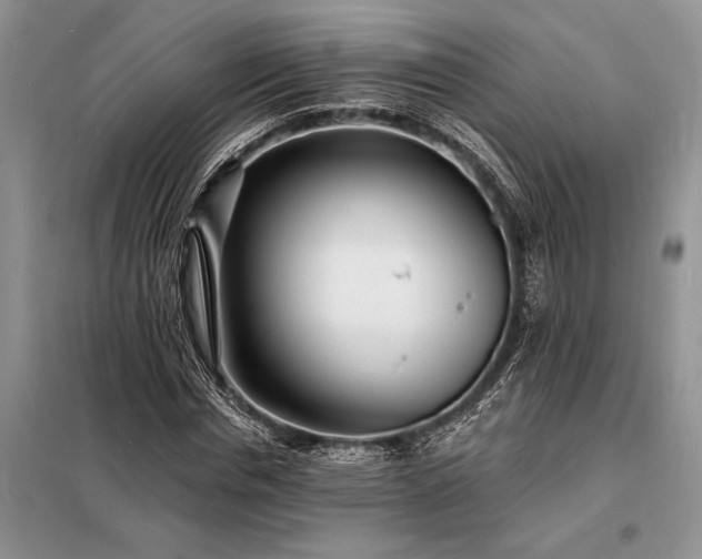 X0000098200826200805011144