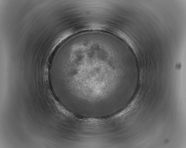 X0000098200827200805011144