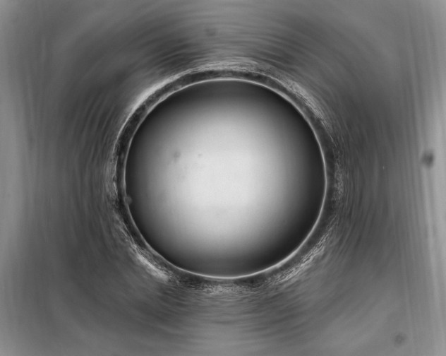 X0000098200830200805011145
