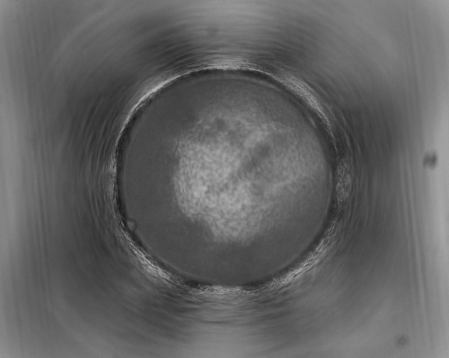 X0000098200831200805011145