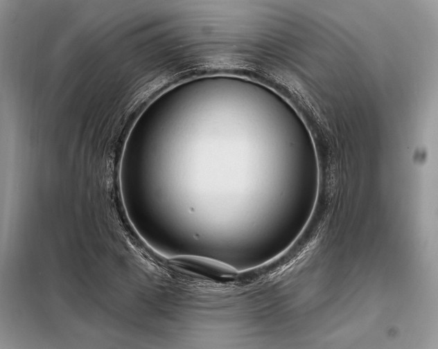 X0000098200833200805011145