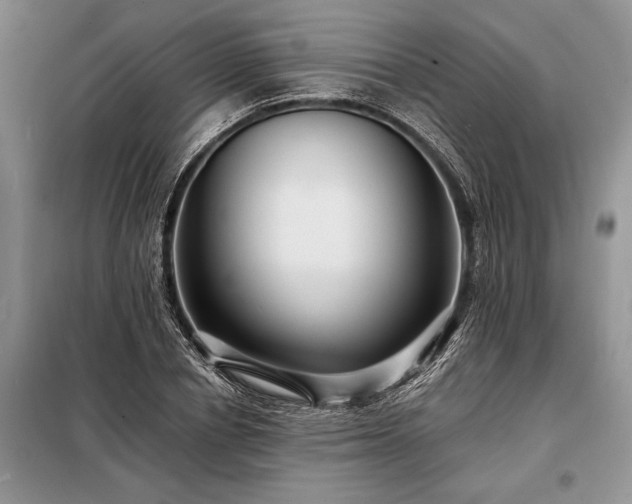 X0000098200834200805011145