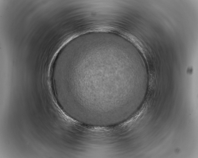 X0000098200835200805011145