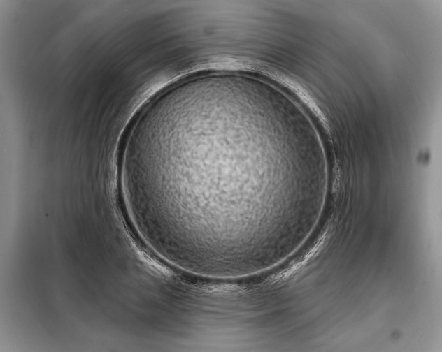 X0000098200837200805011145