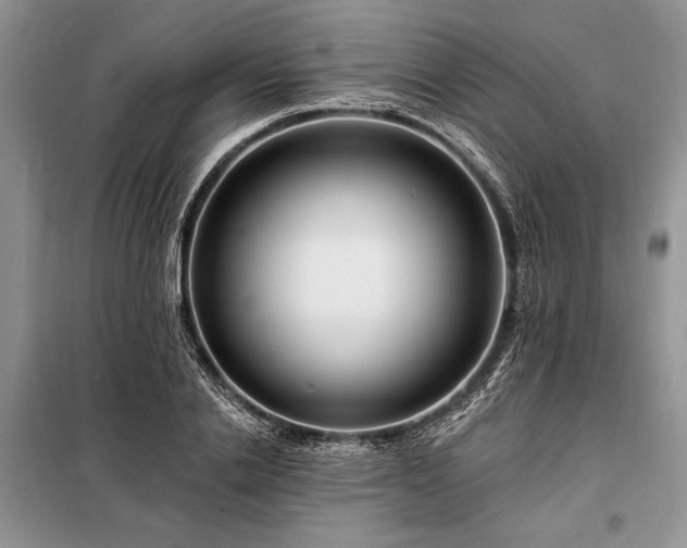 X0000098200838200805011145
