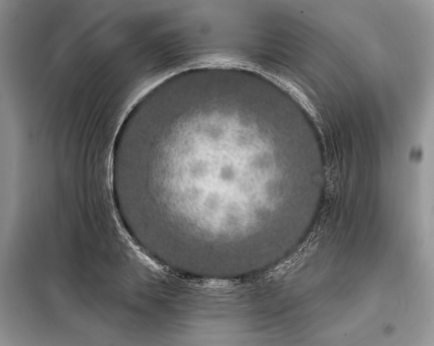 X0000098200839200805011145