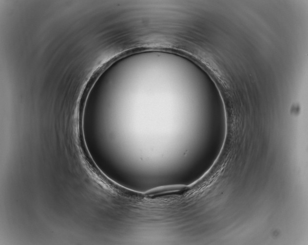X0000098200840200805011145