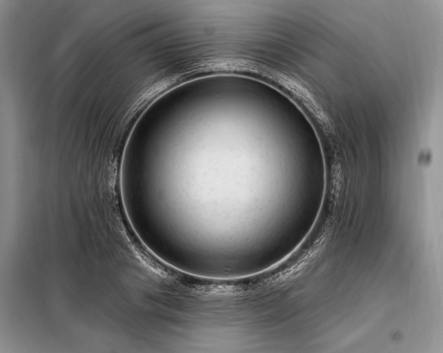 X0000098200841200805011145