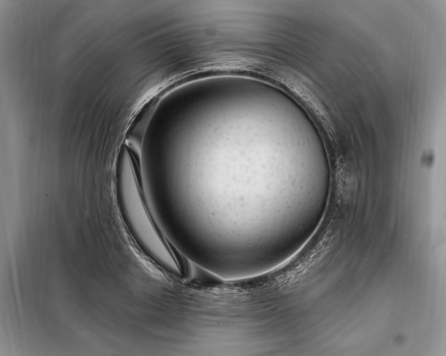 X0000098200842200805011145