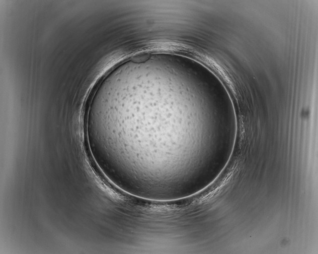 X0000098200843200805011145