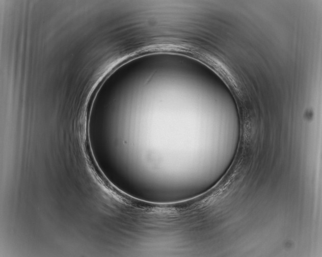 X0000098200844200805011145
