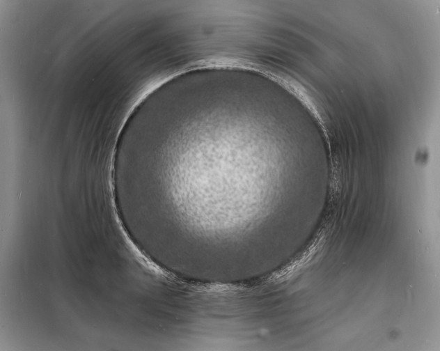 X0000098200847200805011145