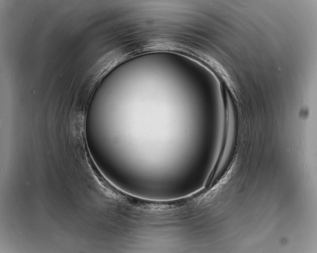 X0000098200849200805011145