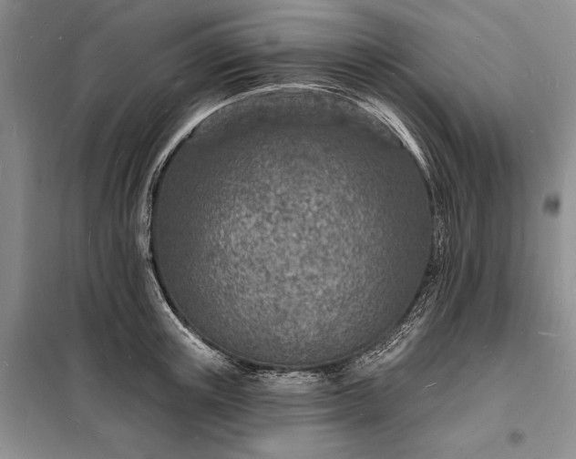 X0000098200851200805011145