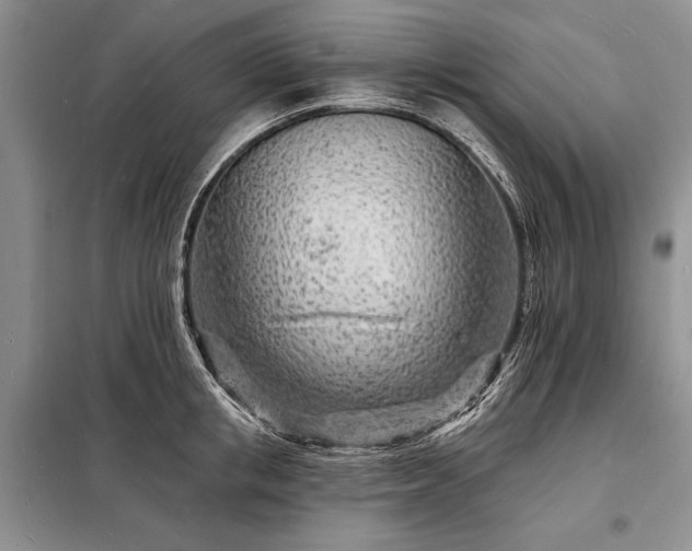 X0000098200853200805011145