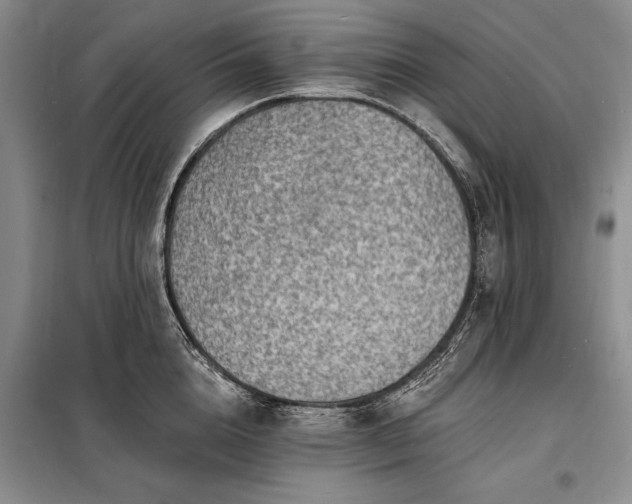 X0000098200856200805011145