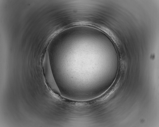 X0000098200857200805011145