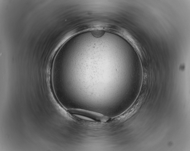 X0000098200859200805011145