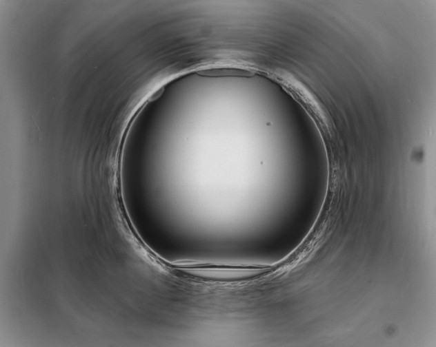X0000098200860200805011145
