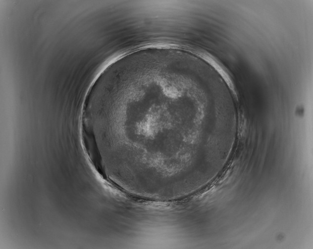 X0000098200861200805011145