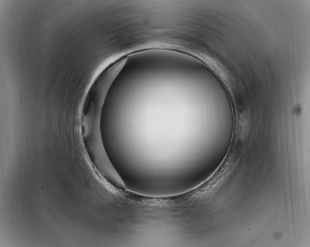 X0000098200862200805011145