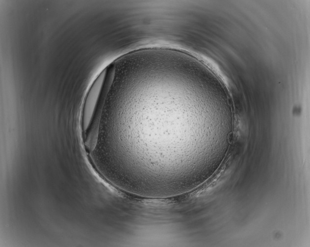 X0000098200863200805011145