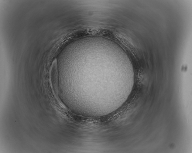 X0000098200865200805011144