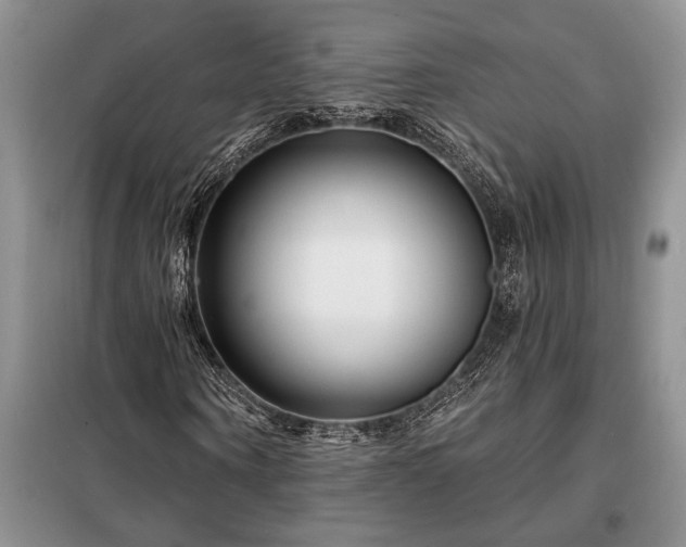X0000098200866200805011144