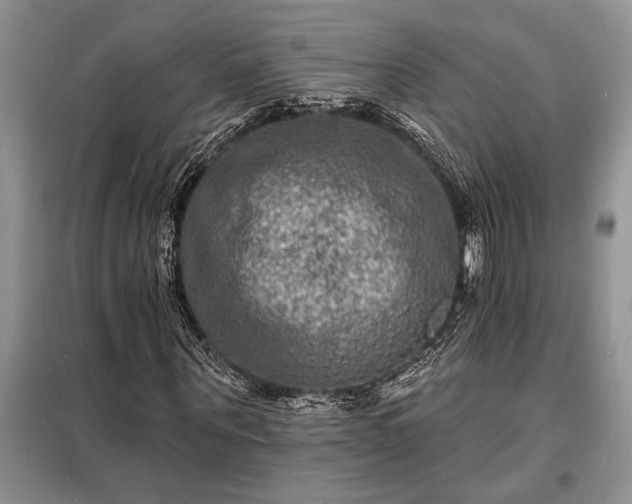 X0000098200867200805011144