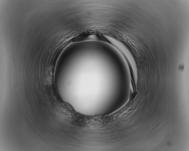 X0000098200868200805011144