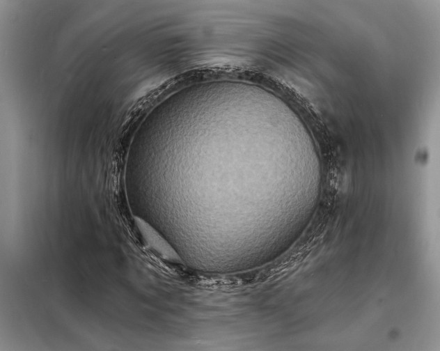 X0000098200869200805011144