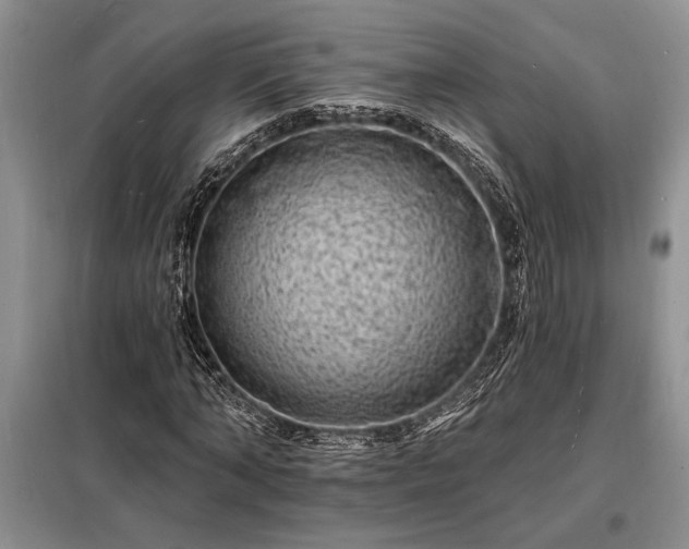 X0000098200870200805011144