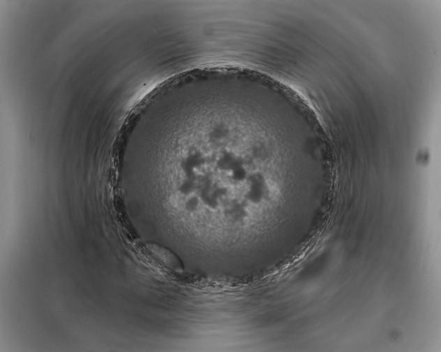 X0000098200871200805011144