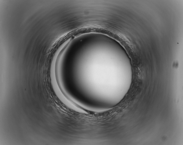 X0000098200872200805011144
