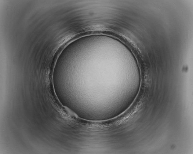X0000098200873200805011144