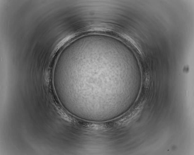 X0000098200874200805011144