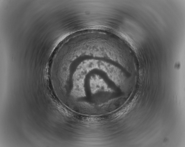 X0000098200875200805011144
