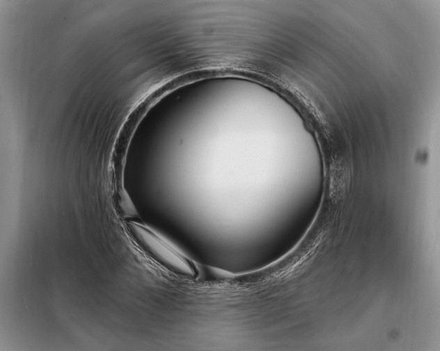 X0000098200876200805011144