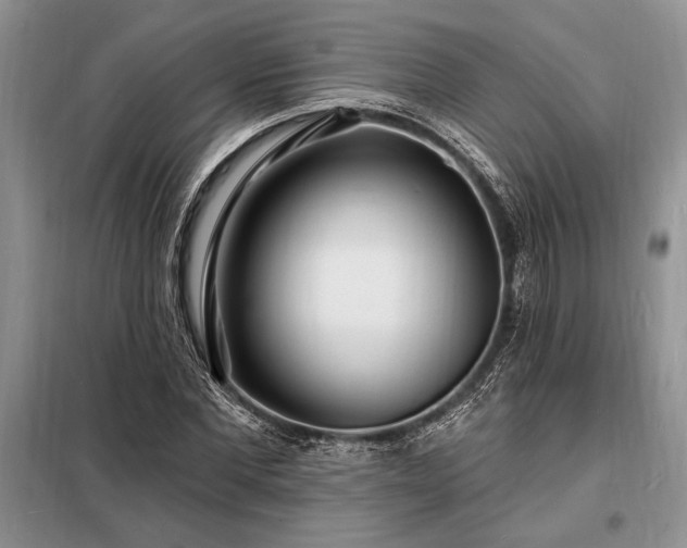 X0000098200877200805011144